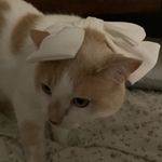 Krista Carruthers - @8k_carruthers - Instagram