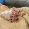 Krista Casey - @kristacasey171 - TikTok