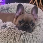 Krista Cheney Pentz - @kristacheneypentz - Instagram