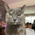 Krista Cundiff Dean - @krista.dean.namaste - Instagram