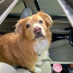 Krista Dean - @ncgirl321 - Instagram