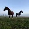 Krista_devries - @krista_devries - TikTok