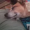 Kristina Dillon - @kristina.dillon5 - TikTok