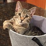 Krista Doyle - @k_d100 - Instagram