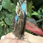 Christy Durham - Facebook