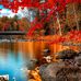 Krista Dyer - Facebook