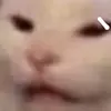 krista.dyer - @dance.artt - TikTok