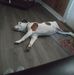 Kristy Elmore - Facebook