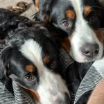 Krista West Farmer - @nurse_farmer77 - Instagram