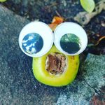 Krista Moscarello Fleming - @spy2eyes - Instagram