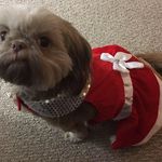 Krista Floyd - @fcps300 - Instagram