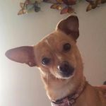 Krista Gerth - @kristagerthquake - Instagram