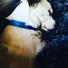 krista_goldbay - @krista_goldbay - TikTok