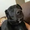 Krista Goldstein - @krista.goldstein - TikTok