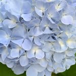krista - @_krista.grace_ - Instagram