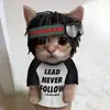 kristagrace6 - @kristagrace6 - TikTok