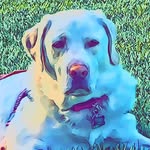 Kristi Hahn - @kristi.hahn.50 - Instagram