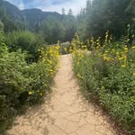Krista Finlayson Hatch - @kristahatch3 - Instagram