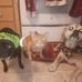 Krista Hendrickson - Facebook