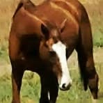 Krista Horne - Facebook