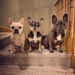 Krista Hunter - @hunters_wife - Instagram