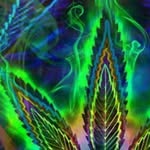 Krista Jimenez - @kristae.satathite - Instagram