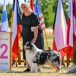 Kristína Kellner Šimková - @chrystal_light_kennel - Instagram
