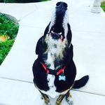 Krista Knott - @knott._.krista - Instagram