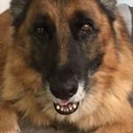 Kristakoth - @kristakothlongmont - Instagram