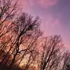 Kris - @kristanmagee - TikTok