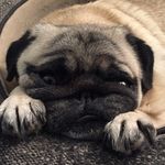 Krista McLean - @hamish.mc146 - Instagram