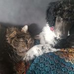 Krista McLean - @adventures_of_sulta - Instagram