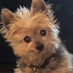 Kristi Messer - @krsmesser - Instagram