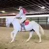 krista penney - @krista.penney - TikTok