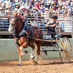 Kristina Phipps - @cowgirlblndy - Instagram