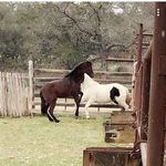 Krista Porter - @krista.porter.735 - Instagram