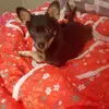 Krista Putnam - @kristaputnam79 - TikTok