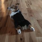 Kristina Willis Snodgrass - @willissnodgrass - Instagram