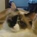 Krista Patton Stickley - Facebook