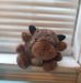 Kristi Stott - Facebook