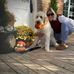 Krista Todd - Facebook