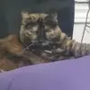 Krista Totten - @krista.totten - TikTok
