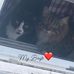 Crista Trier - Facebook