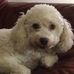 Krista Waldron - Facebook