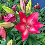 Krista Watts-Prusha - @kkwp_71521 - Instagram