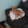 kristawatts55 - @kristawatts55 - TikTok