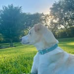 Krista yoder - @krista16839 - Instagram