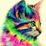 kristal_cookie - @kristal_cookie - Instagram