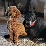 Kristin Basham - @basham1169 - Instagram