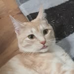 Kristen Basson - @kristen_basson22 - Instagram